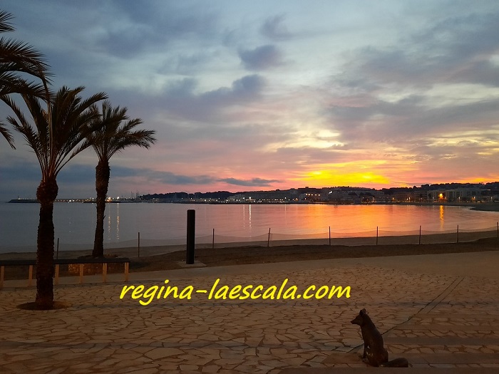 Fincas en venta